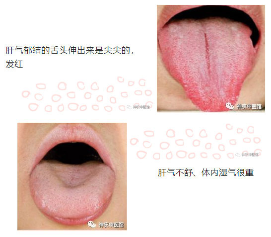 神農(nóng)中醫(yī)館 神農(nóng)中醫(yī)館