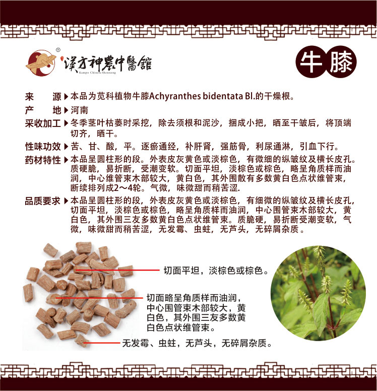 神農(nóng)中醫(yī)館 神農(nóng)中醫(yī)館