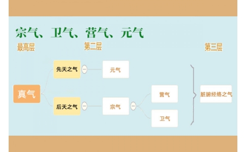 中醫(yī)里的“宗氣”、“衛(wèi)氣”、“營氣”、“元氣”